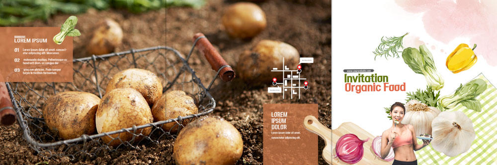 PSD 템플릿 표지디자인 북디자인 출판디자인 여자 표지 리플렛 다이어트 북커버 3단접지 양파 피망 감자 마늘 한명 팜플렛 20대 성인 바구니 흙 한국인 허브 유기농 청경채 이미지템플릿 식물 1 웰빙 채소 건강 사람 동양인 청년 파일형식