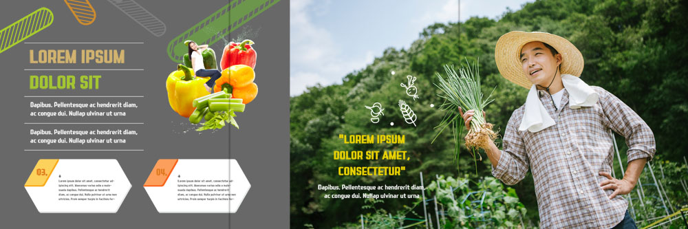 PSD 외국인 템플릿 표지디자인 북디자인 출판디자인 여자 남자 내지 리플렛 북커버 3단접지 피망 팜플렛 20대 성인 두명 30대 수건 한국인 농부 유기농 밀짚모자 파 이미지템플릿 직업 모자_잡화 웰빙 채소 사람 동양인 인종 청년 장년 위생용품 파일형식