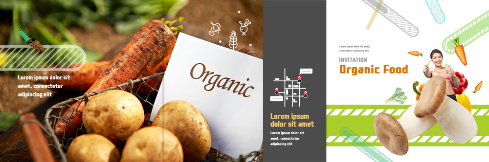 PSD 템플릿 표지디자인 북디자인 출판디자인 여자 표지 리플렛 북커버 3단접지 감자 한명 팜플렛 20대 성인 버섯 당근 한국인 유기농 약도 이미지템플릿 1 웰빙 지도 채소 뿌리채소 사람 동양인 청년 파일형식