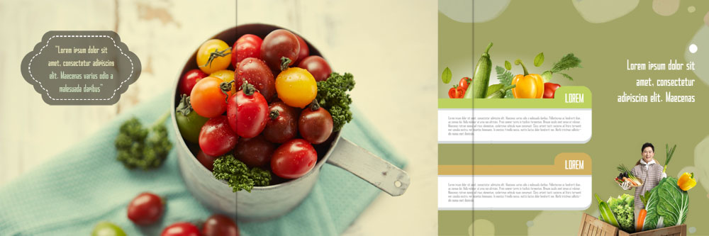 PSD 템플릿 표지디자인 북디자인 출판디자인 남자 내지 리플렛 40대 북커버 3단접지 방울토마토 호박 피망 한명 팜플렛 성인 한국인 농부 배추 유기농 이미지템플릿 직업 1 웰빙 중년 토마토 채소 사람 동양인 파일형식