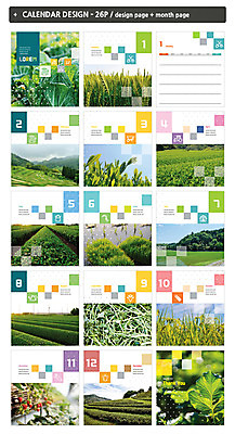 템플릿 ZIP 밭 자연 논 사람없음 달력 벼 풀 보리 탁상달력 인디자인 INDD 이미지템플릿 식물 농업 곡류 생태계 파일형식