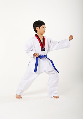 포토 JPG 스튜디오촬영 전신 남자 남학생 청소년 실내 한명 서기 옆모습 10대 운동 주먹 한국인 태권도 태권도복 품새 사교육 십대남자한명만 방과후 파란띠 국내포토 1 학생 교육 스포츠용품 뷰포인트 모션 건강 도복 사람 동양인 내부 격투기 끈 남자한명만 십대남자만 파일형식