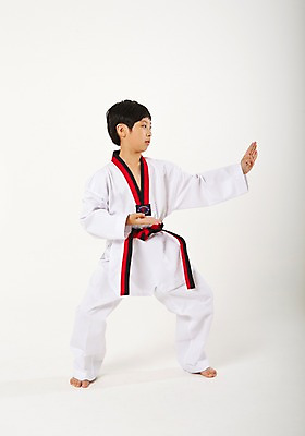포토 JPG 스튜디오촬영 전신 남자 남학생 청소년 실내 한명 서기 앞모습 10대 운동 한국인 태권도 태권도복 품새 사교육 십대남자한명만 방과후 품띠 국내포토 1 학생 교육 스포츠용품 뷰포인트 모션 건강 도복 사람 동양인 내부 격투기 끈 남자한명만 십대남자만 파일형식