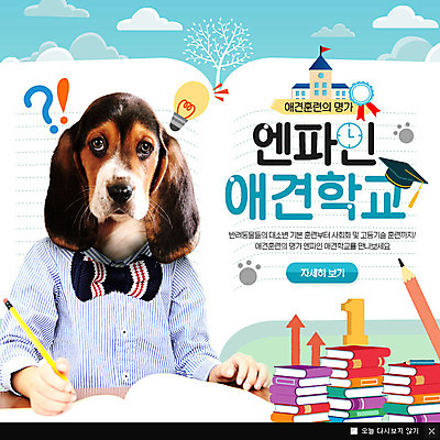 PSD 템플릿 교육 반려견 웹템플릿 학사모 학교 팝업 이벤트팝업 웹팝업 의인화 한명 책 반려동물 연필 강아지 반려 전구모양 이미지템플릿 모양 동물 모자_잡화 1 전구 졸업 학용품 사람 필기구 개 파일형식