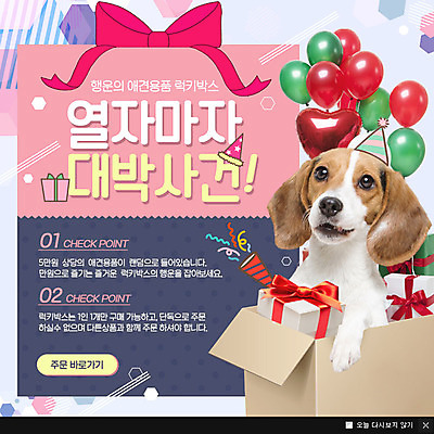 PSD 템플릿 리본 반려견 웹템플릿 팝업 이벤트팝업 웹팝업 사람없음 선물상자 반려동물 강아지 풍선 반려 이미지템플릿 동물 선물 상자 개 파일형식