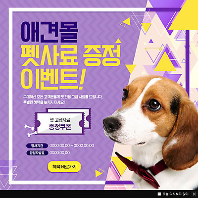 PSD 템플릿 반려견 웹템플릿 팝업 이벤트팝업 웹팝업 이벤트 사람없음 반려동물 강아지 쿠폰 반려 이미지템플릿 동물 개 파일형식