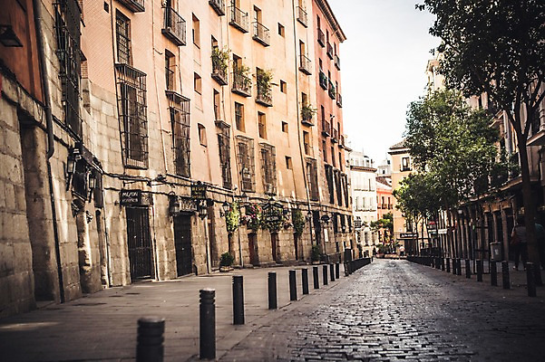 포토 JPG 주간 나무 해외풍경 계절 유럽 여행 거리 풍경 사람없음 야외 건물 여름 스페인 마드리드 국내포토 자연요소 식물 해외 건축물 나라 파일형식
