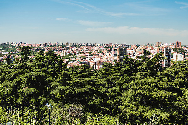 포토 JPG 주간 나무 해외풍경 계절 유럽 여행 하늘 풍경 사람없음 야외 건물 여름 도시 스페인 마드리드 국내포토 자연요소 식물 해외 건축물 나라 파일형식