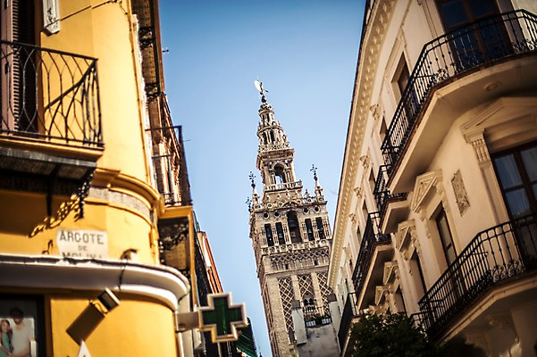 포토 JPG 주간 해외풍경 계절 유럽 여행 풍경 사람없음 야외 여름 스페인 안달루시아 세비아 국내포토 자연요소 해외 나라 파일형식