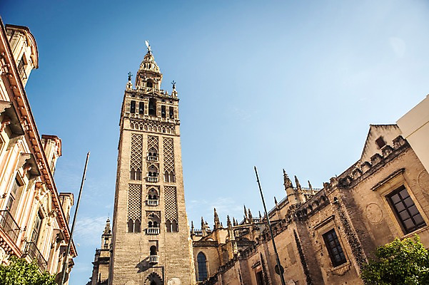 포토 JPG 주간 해외풍경 계절 유럽 여행 풍경 사람없음 야외 여름 성당 천주교 스페인 대성당 안달루시아 세비아 국내포토 자연요소 해외 나라 종교 종교건축 파일형식