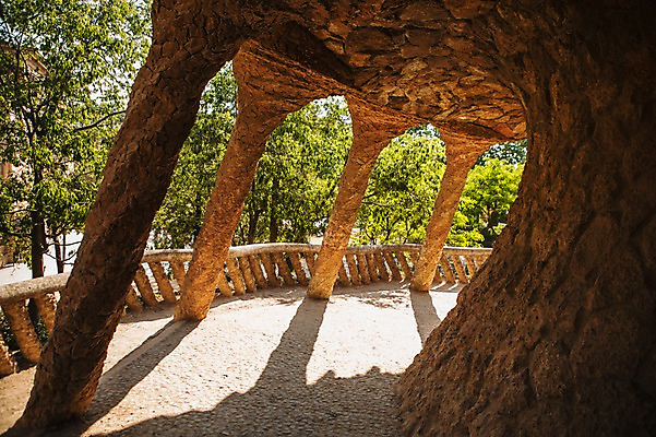 포토 JPG 주간 나무 해외풍경 건축물 계절 건축 유럽 여행 풍경 사람없음 야외 여름 스페인 바르셀로나 가우디 구엘공원 카탈루냐 국내포토 자연요소 식물 해외 공원 나라 파일형식