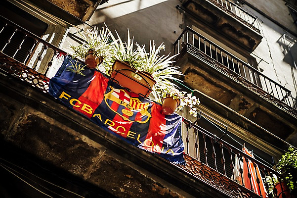 포토 JPG 주간 식물 해외풍경 계절 유럽 화분 여행 풍경 사람없음 야외 건물 여름 여름풍경 스페인 바르셀로나 카탈루냐 국내포토 자연요소 해외 건축물 나라 파일형식 여름_계절