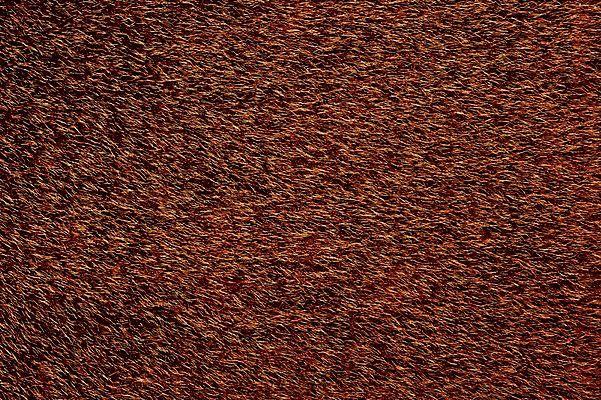 포토 JPG 백그라운드 근접촬영 사람없음 갈색 직물 천 질감 송치 국내포토 뷰포인트 컬러 가죽 파일형식