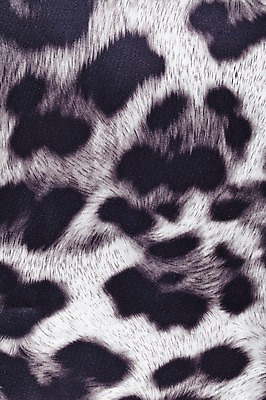 포토 JPG 백그라운드 무늬 근접촬영 사람없음 직물 천 질감 국내포토 뷰포인트 파일형식