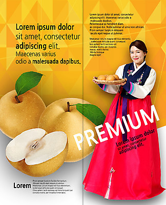 전신 PSD 템플릿 한국전통 표지디자인 북디자인 출판디자인 여자 명절 내지 리플렛 40대 2단접지 북커버 단면 한명 서기 들기 팜플렛 성인 광주리 한국인 배 삼각형 한복 이미지템플릿 도형 1 전통 기념일 중년 과일 모션 한국 사람 동양인 바구니 전통의상 파일형식