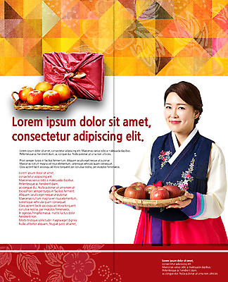 PSD 템플릿 한국전통 표지디자인 북디자인 출판디자인 여자 명절 내지 리플렛 40대 2단접지 북커버 한명 팜플렛 상반신 성인 바구니 한국인 보자기 삼각형 사과 한복 이미지템플릿 도형 1 전통 기념일 중년 과일 한국 사람 동양인 전통의상 파일형식 천_직물