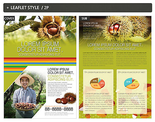 템플릿 남자 ZIP 포스터 음식 리플렛 한명 성인 한국인 농부 밤 밤송이 전단템플릿 전단 인디자인 INDD 이미지템플릿 직업 1 사람 동양인 견과류 밤_견과류 홍보물 파일형식