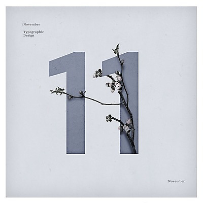 PSD 사계절 꽃 백그라운드 일러스트 타이포그라피 사람없음 숫자 달력 나뭇가지 11월 11 국내일러스트 나무 식물 문자 계절 날짜 파일형식