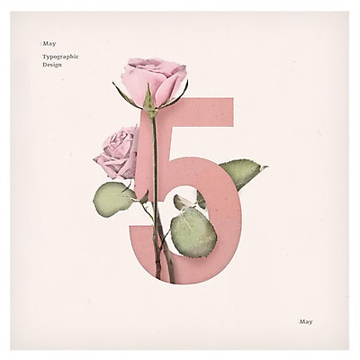 PSD 사계절 꽃 백그라운드 일러스트 타이포그라피 사람없음 숫자 장미 달력 5월 5 국내일러스트 식물 문자 계절 날짜 파일형식