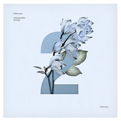 PSD 사계절 꽃 백그라운드 2 일러스트 타이포그라피 사람없음 숫자 달력 2월 국내일러스트 식물 문자 계절 날짜 파일형식