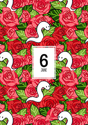 PSD 꽃 백그라운드 패턴 일러스트 사람없음 여름 장미 패턴백그라운드 달력 십이지신 뱀 6월 6 국내일러스트 식물 계절 무늬 파충류 숫자 날짜 파일형식