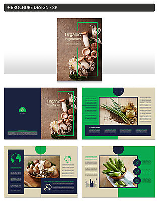 템플릿 ZIP 채소 식재료 양파 오이 팜플렛 사람없음 버섯 유기농 청경채 대파 인디자인 INDD 이미지템플릿 웰빙 파 파일형식