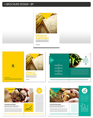 템플릿 손 ZIP 고추 그래프 감자 들기 팜플렛 신체부위 농작물 벼 쌀 유기농 인디자인 INDD 이미지템플릿 웰빙 농업 채소 모션 곡류 사람 파일형식