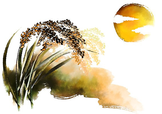 PSD 한국전통 명절 일러스트 캘리그라피 사람없음 추석 추수 벼 보름달 가을 국내일러스트 전통 계절 기념일 농업 곡류 한국 달 파일형식