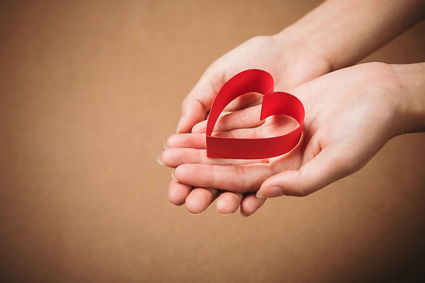 포토 JPG 손 기념일 종이 백그라운드 손바닥 사랑 들기 신체부위 하트 오브젝트 국내포토 모양 감정 모션 사람 이벤트 파일형식