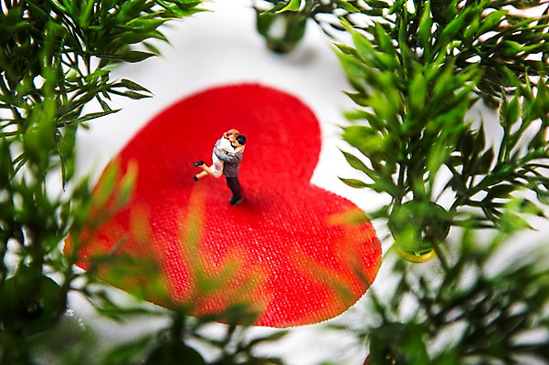 포토 JPG 커플 기념일 백그라운드 안기 사랑 사람없음 미니어처 하트 풀잎 오브젝트 국내포토 모양 감정 잎 관계 모션 이벤트 모형 풀_식물 파일형식