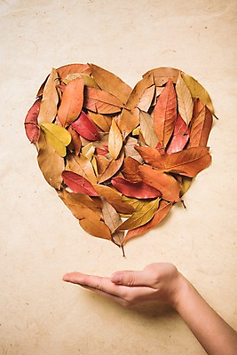 포토 JPG 손 기념일 백그라운드 낙엽 사랑 신체부위 가을 하트 오브젝트 국내포토 모양 계절 감정 잎 사람 이벤트 파일형식