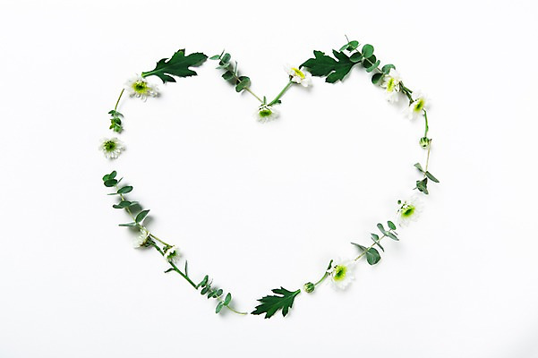 포토 JPG 기념일 꽃 백그라운드 사랑 사람없음 하트 풀잎 오브젝트 국내포토 모양 식물 감정 잎 이벤트 풀_식물 파일형식