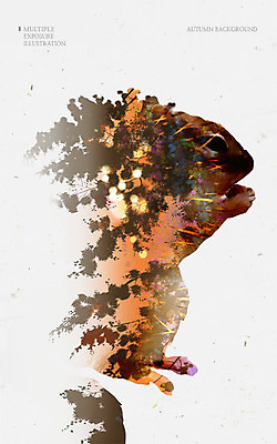 PSD 나무 백그라운드 일러스트 사람없음 노을 가을 다람쥐 다중노출 가을배경 국내일러스트 자연요소 식물 계절 촬영기법 설치류 파일형식 가을_계절