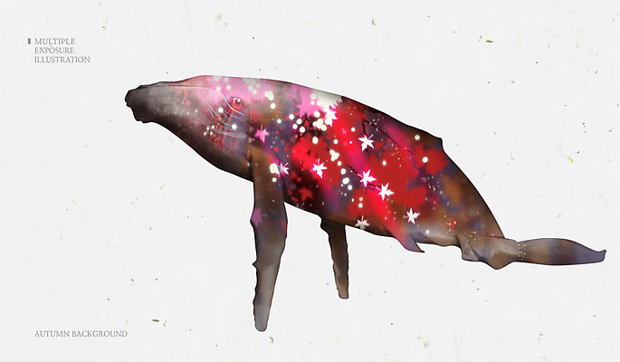 PSD 나무 백그라운드 단풍 일러스트 사람없음 가을 고래 다중노출 가을배경 국내일러스트 식물 계절 잎 포유류 촬영기법 수중동물 파일형식 가을_계절