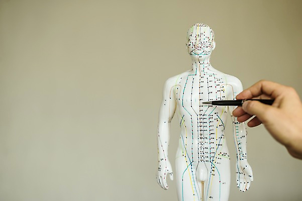 포토 JPG 손 인체모형 들기 신체부위 볼펜 한의학 가리킴 한의원 진료실 혈자리 국내포토 의학 모션 병원 사람 손짓 펜 모형 진료 파일형식