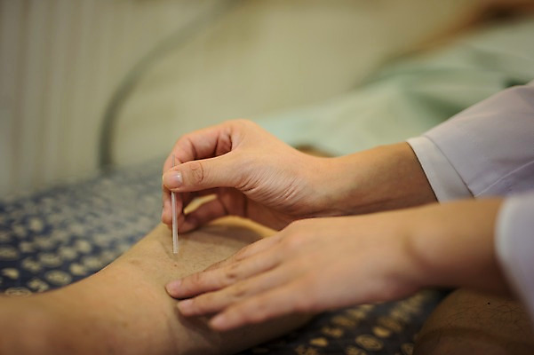 포토 JPG 손 여자 노년 남자 실내 성인 두명 신체부위 치료 30대 진료 한의학 한국인 환자 다리 60대 한의원 한의사 침술 성인만 국내포토 의학 병원 사람 동양인 내부 장년 의사 파일형식