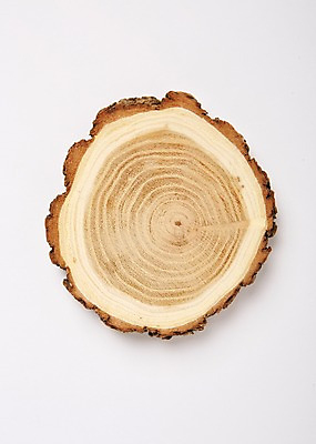 포토 JPG 스튜디오촬영 실내 누끼 사람없음 하이앵글 오브젝트 나무접시 차받침대 국내포토 접시 뷰포인트 내부 받침대 파일형식