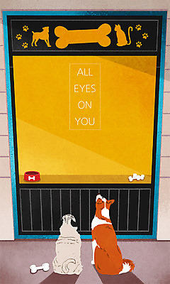 PSD 시선 두마리 일러스트 창문 프레임 사람없음 반려동물 고양이 강아지 개밥그릇 개뼈다귀 애완동물가게 주목 프레임일러스트 국내일러스트 동물 그릇 2 포유류 상점 개 애견용품 애견간식 파일형식