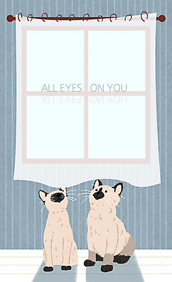 PSD 시선 두마리 일러스트 창문 프레임 실내 사람없음 반려동물 고양이 커튼 주목 프레임일러스트 국내일러스트 동물 2 포유류 내부 파일형식