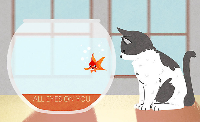 PSD 시선 일러스트 창문 프레임 실내 사람없음 반려동물 고양이 어항 금붕어 주목 프레임일러스트 국내일러스트 동물 포유류 어류 내부 파일형식