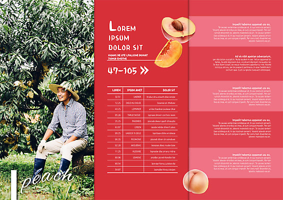 PSD 템플릿 편집 표지디자인 북디자인 출판디자인 남자 내지 음식 리플렛 40대 북커버 3단접지 한명 앉기 팜플렛 성인 한국인 농부 과수원 유기농 밀짚모자 복숭아 복숭아씨 이미지템플릿 직업 모자_잡화 1 웰빙 중년 농업 과일 모션 씨앗 사람 동양인 파일형식