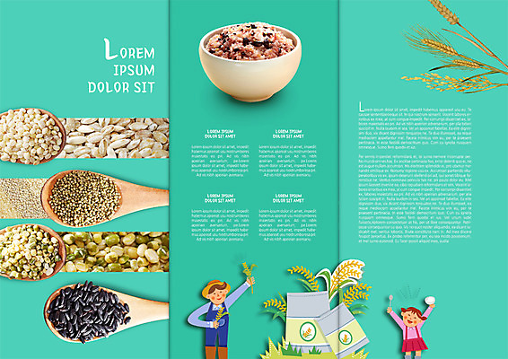 PSD 템플릿 편집 표지디자인 북디자인 출판디자인 여자 남자 내지 어린이 음식 리플렛 북커버 3단접지 밥 콩 곡류 팜플렛 두명 농부 유기농 이삭 밥그릇 검은쌀 쌀포대 이미지템플릿 직업 그릇 웰빙 사람 쌀 파일형식
