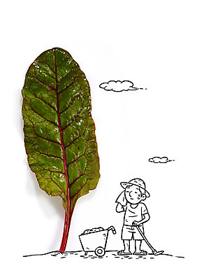 구름 편집이미지 남자 채소 포토일러 한명 성인 수레 농부 농기구 쌈채소 이미지편집 AI파일 자연요소 직업 1 농업 사람 카트 파일형식 벡터