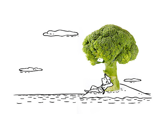 편집이미지 남자 바다 섬 포토일러 휴식 한명 성인 브로콜리 이미지편집 AI파일 1 컨셉 채소 사람 파일형식 벡터