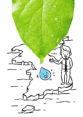 편집이미지 남자 포토일러 나뭇잎 한명 성인 환경 물방울 한반도 이미지편집 AI파일 1 잎 사람 파일형식 벡터