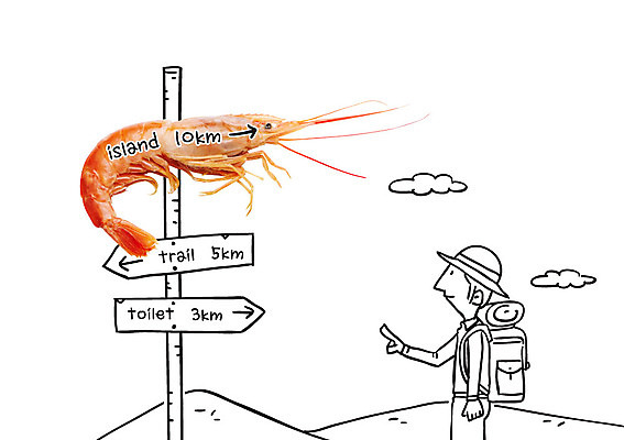 편집이미지 남자 배낭 포토일러 새우 산 한명 성인 표지판 등산객 이미지편집 AI파일 1 가방 알림판 갑각류 사람 등산 파일형식 벡터