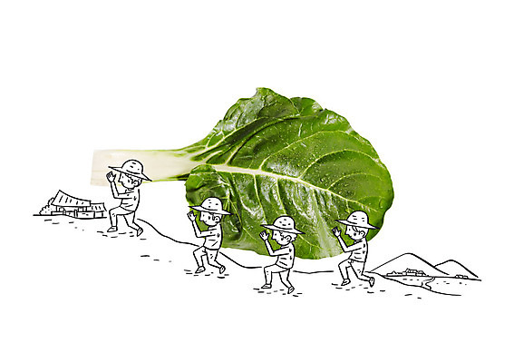 편집이미지 남자 채소 포토일러 여러명 성인 운반 농부 이미지편집 AI파일 직업 다수 사람 파일형식 벡터