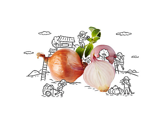 편집이미지 남자 채소 사다리 포토일러 양파 여러명 성인 수레 농부 이미지편집 AI파일 직업 다수 사람 카트 도구 파일형식 벡터