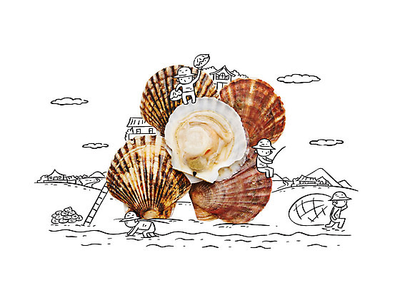 편집이미지 남자 바다 포토일러 낚시 조개 여러명 성인 그물 어부 이미지편집 AI파일 직업 다수 레저 어패류 사람 파일형식 벡터