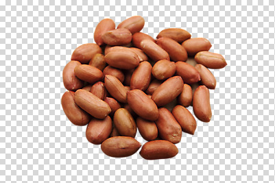 편집 편집이미지 열매 식재료 사람없음 여러개 견과류 땅콩 정월대보름 부럼 PNG 편집소스 식물 명절 다수 파일형식